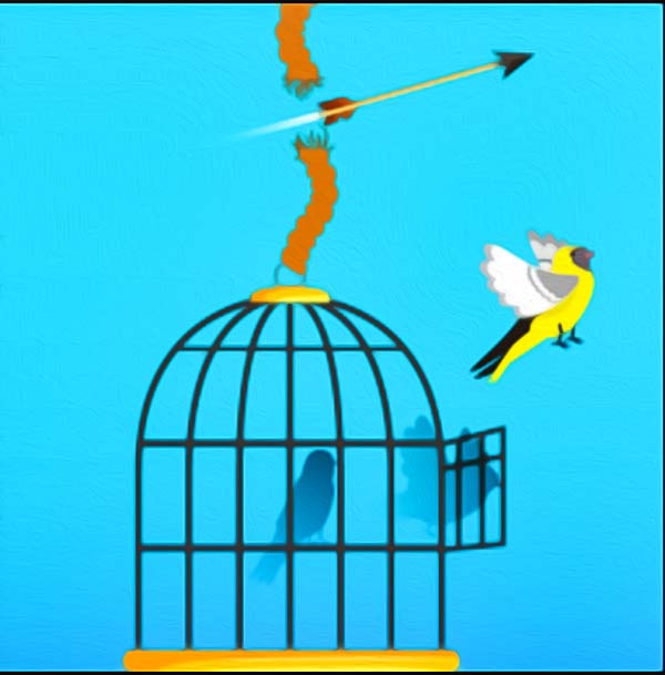 game - free-birds - online.jpg